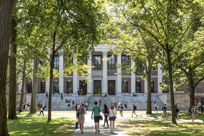 Harvard campus during daytime with students walking around